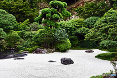 鎌倉の竹寺　報国寺