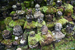 鎌倉の竹寺　報国寺