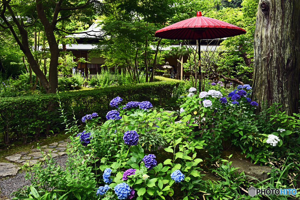 一条恵観山荘　庭園の部