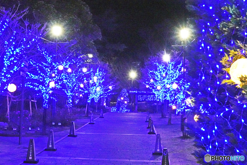 アメリカ山のイルミネーション