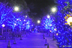 アメリカ山のイルミネーション