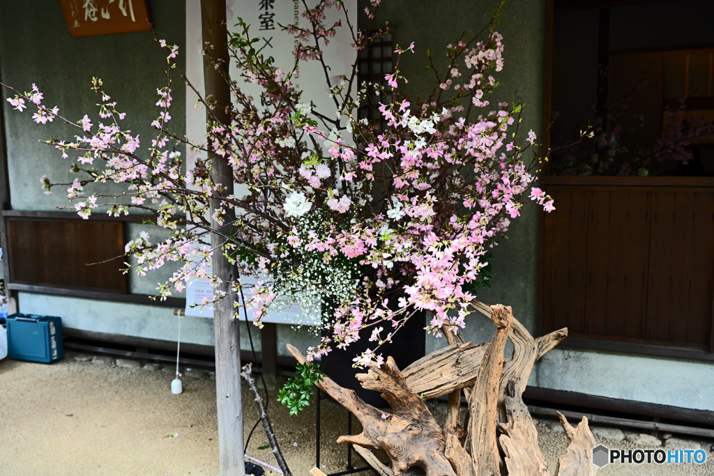 高輪日本庭園