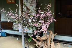 高輪日本庭園