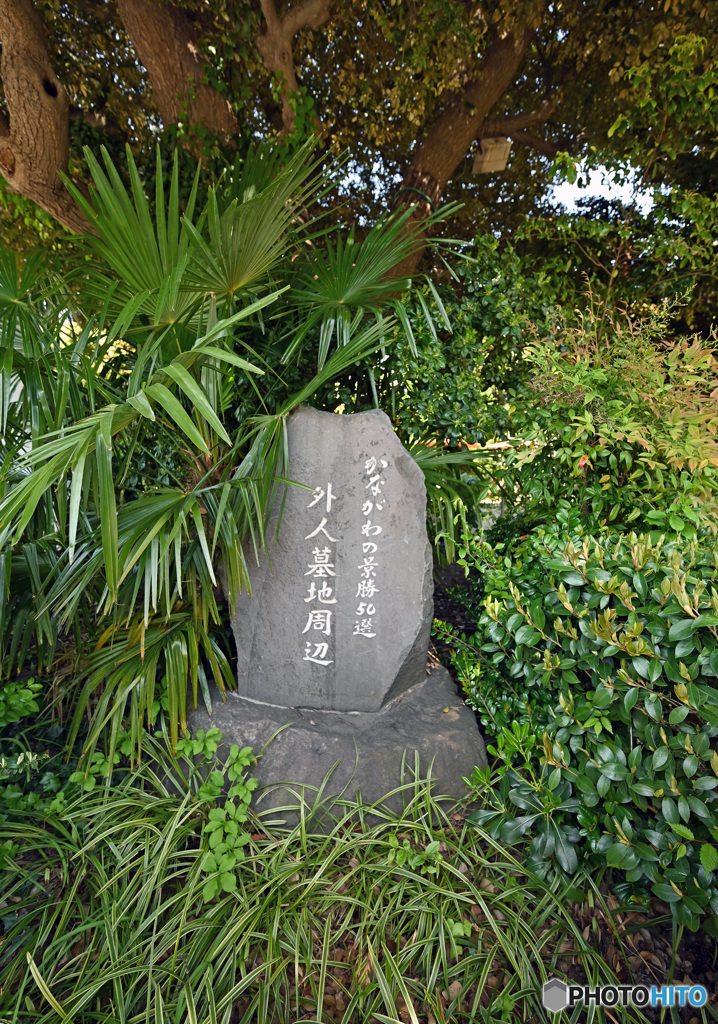 山手地区5