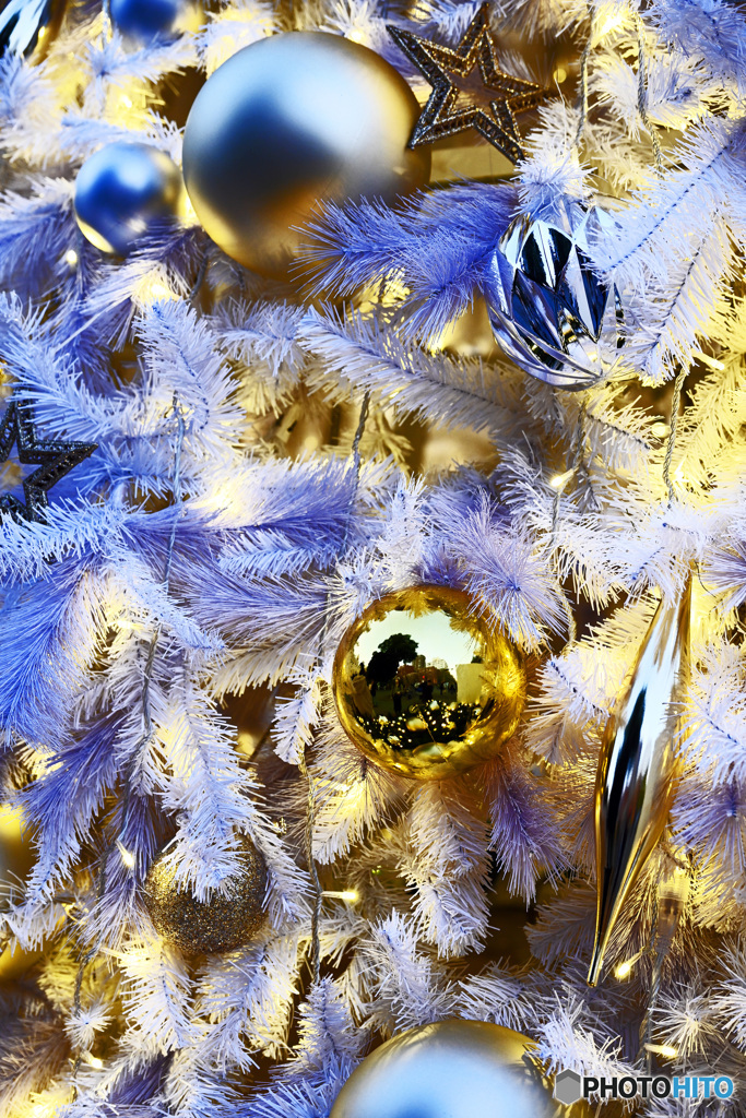 ハマスタイベント