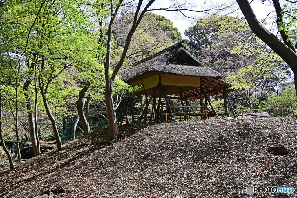 六義園内風景