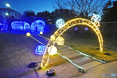 アメリカ山のイルミネーション