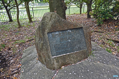 千鳥ヶ淵緑道にて