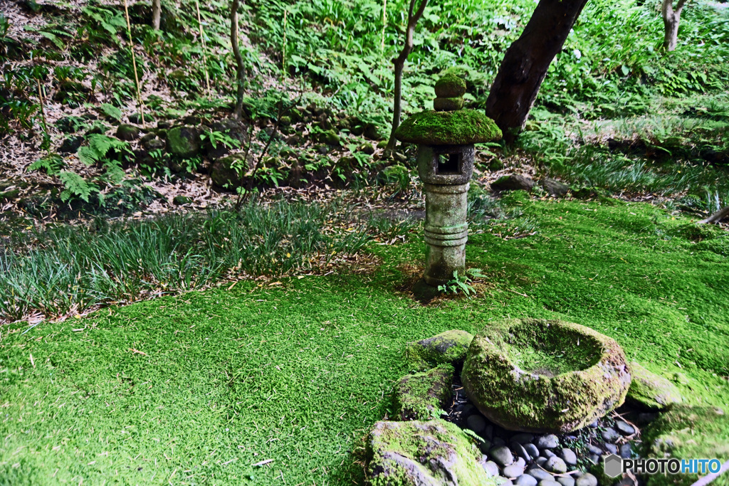 鎌倉の竹寺　報国寺