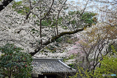 高輪日本庭園