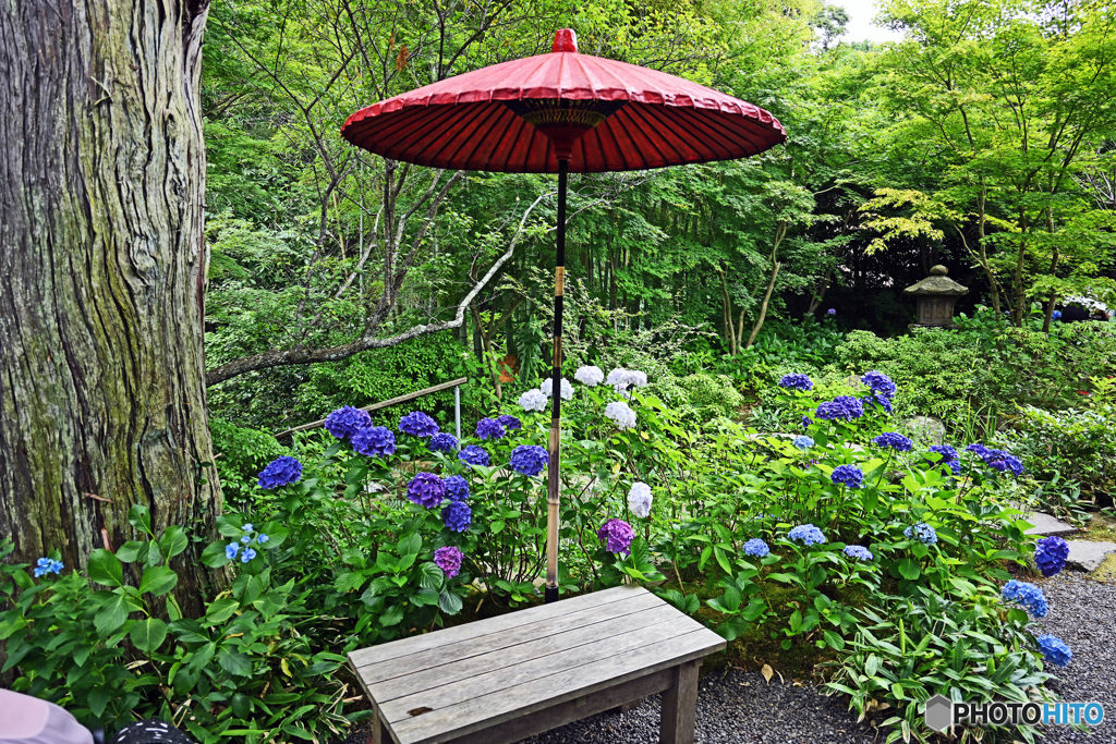 赤い傘のある風景