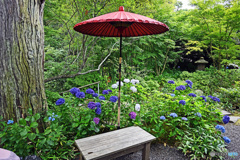 赤い傘のある風景