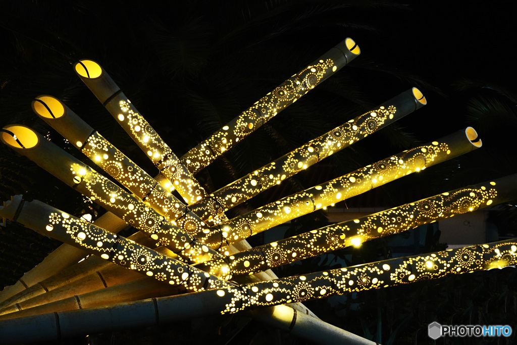 伊東　竹あかり