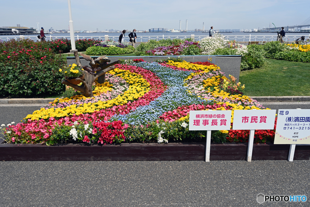 ミニ花壇展