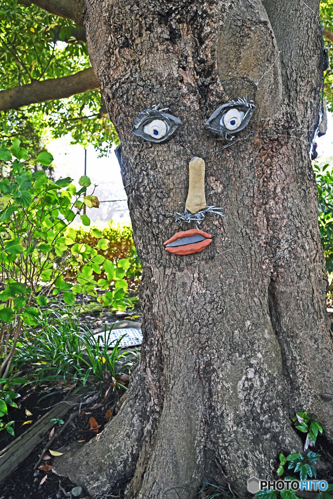 横浜山手西洋館ハロウィン2021