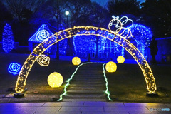 アメリカ山のイルミネーション