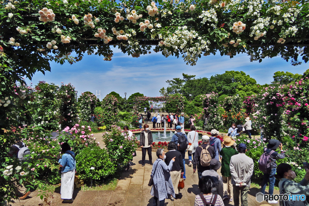 みなとが見える丘公園