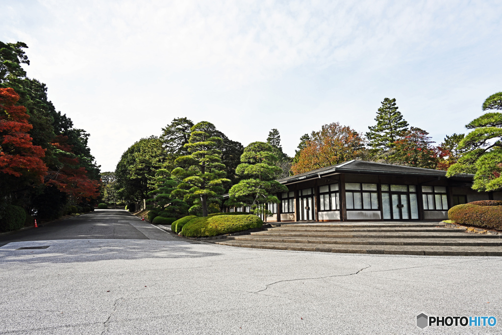 秋の皇居公開