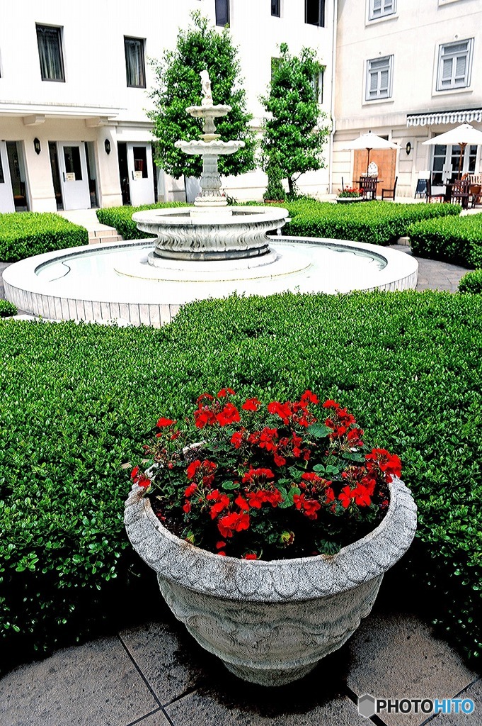 赤い花のある庭