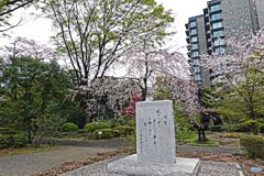 千鳥ヶ淵戦没者墓苑にて