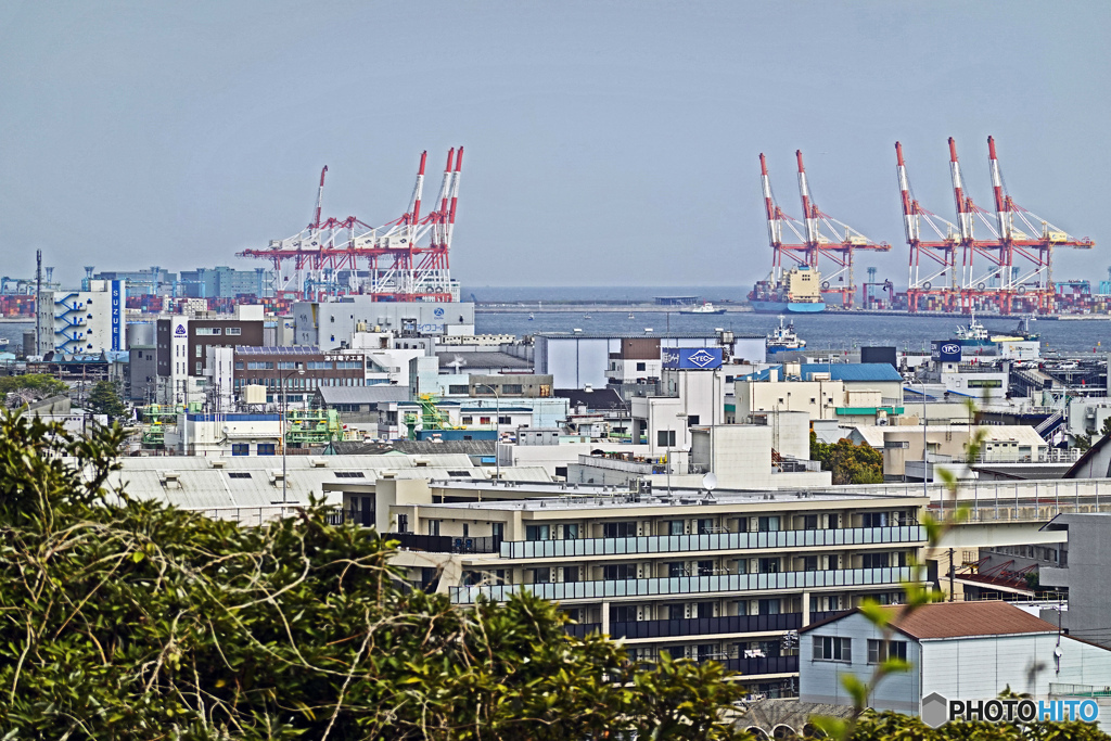 横浜市立富岡総合公園