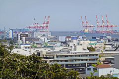 横浜市立富岡総合公園