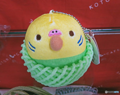 野鳥博にて