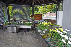 千鳥ヶ淵墓苑にて