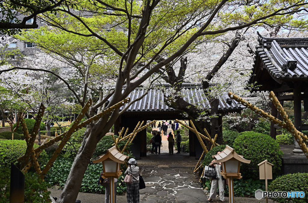 高輪日本庭園