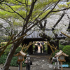 高輪日本庭園