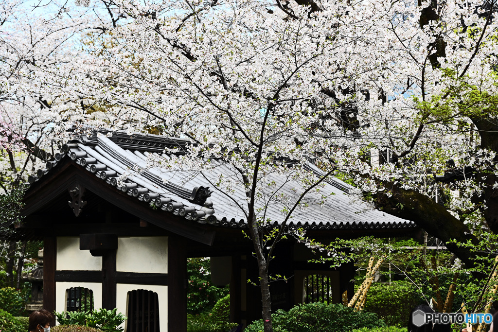 高輪日本庭園