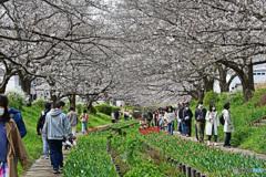 休日の散歩道
