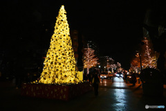 ヨコハマメリークリスマス