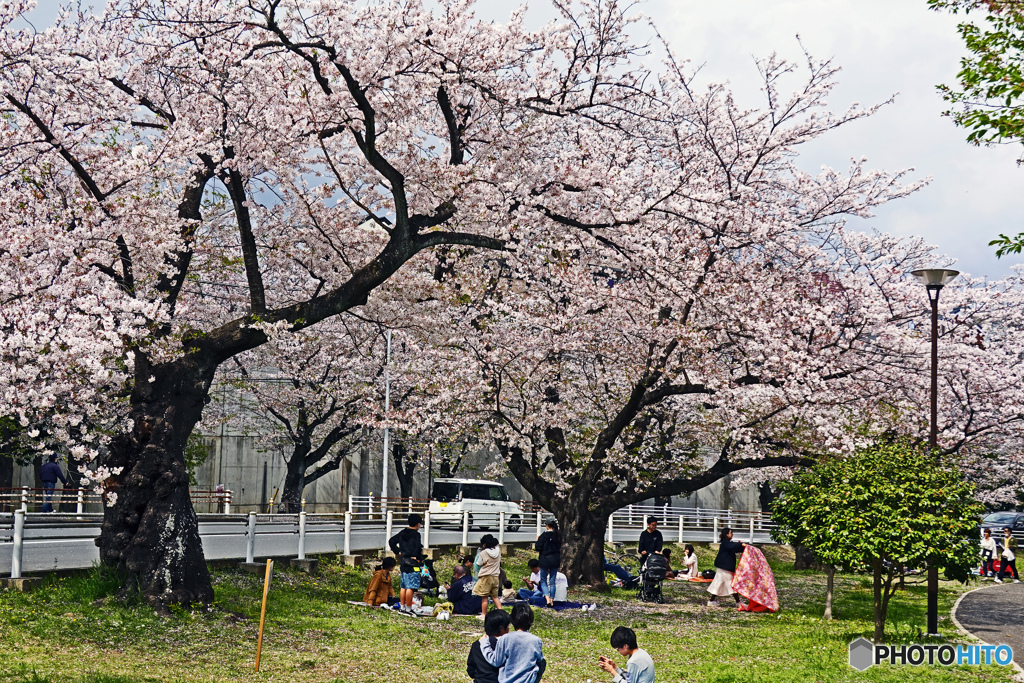 横浜市立富岡総合公園