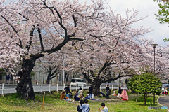 横浜市立富岡総合公園