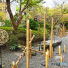 高輪日本庭園