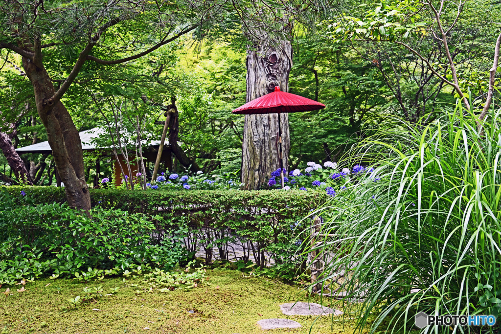 赤い傘のある風景