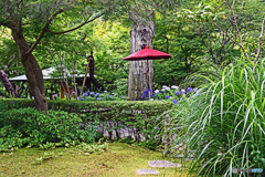 赤い傘のある風景