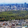 展望室より