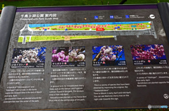 千鳥ヶ淵緑道にて