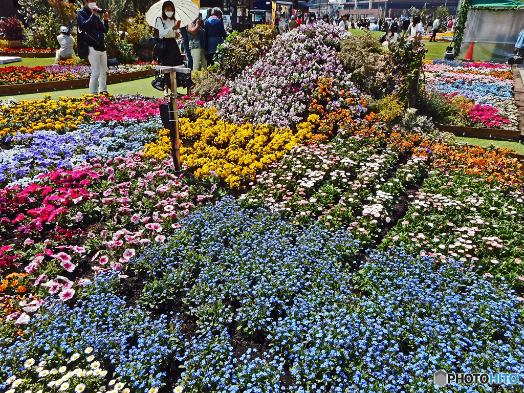 赤レンガ花壇展1