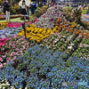 赤レンガ花壇展1