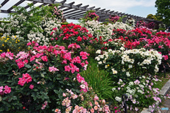 山下公園