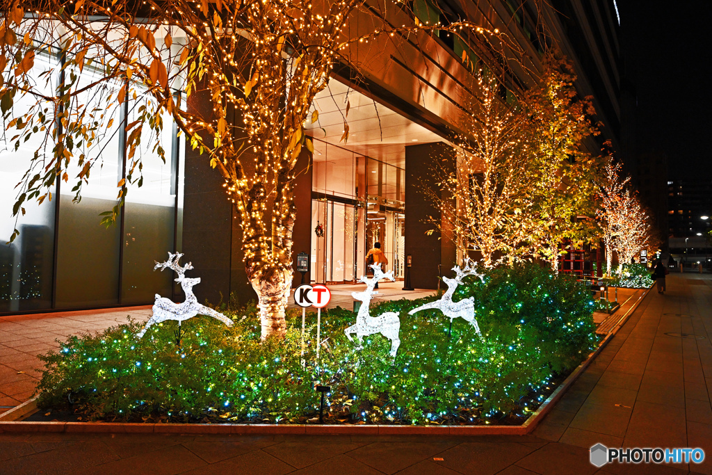 みなとみらいイルミネーション