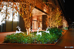 みなとみらいイルミネーション