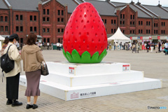 赤レンガでストロベリーフェスティバル