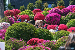 根津神社