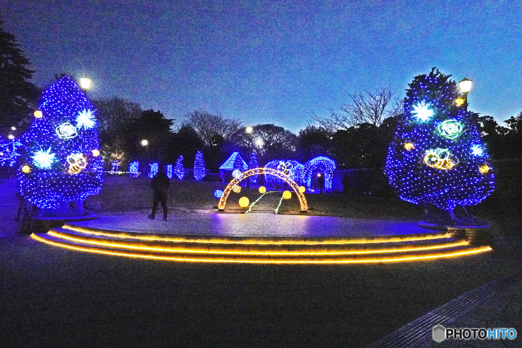 アメリカ山のイルミネーション