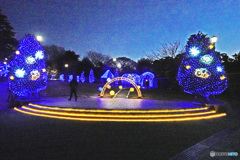 アメリカ山のイルミネーション