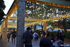 ハマスタイベント